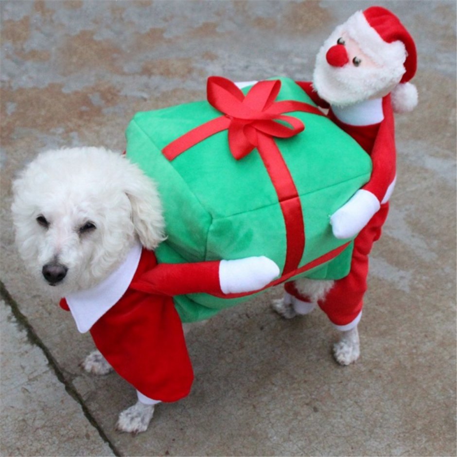 Костюм Санта Клауса для собаки