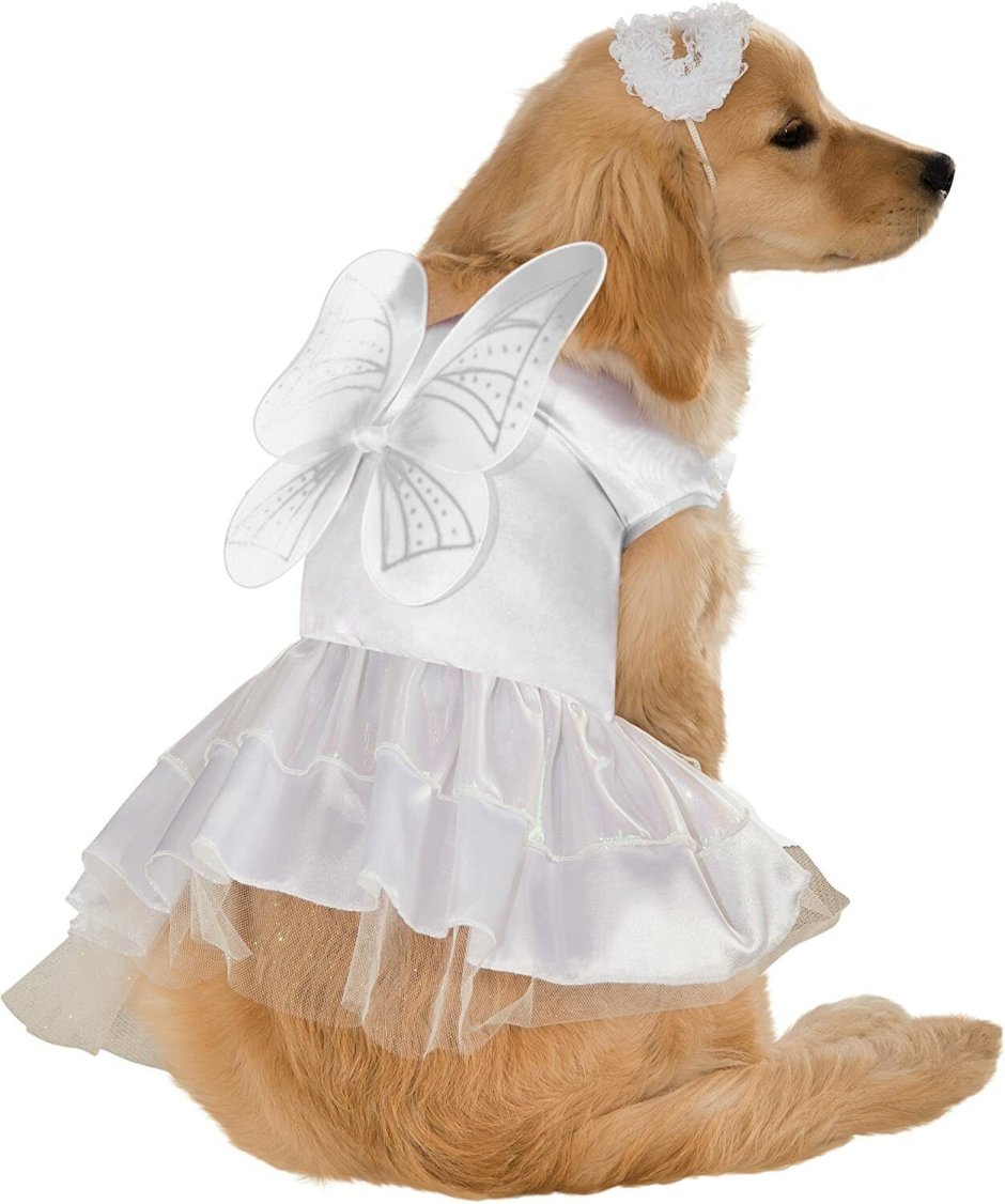 Платье для собак