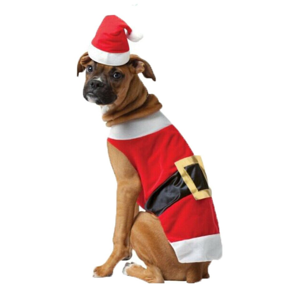 Одежда для собак Санта Клаус