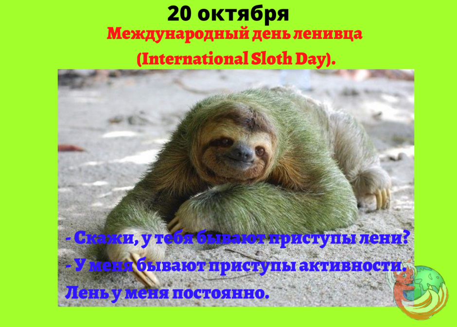 Международный день ленивца 20 октября