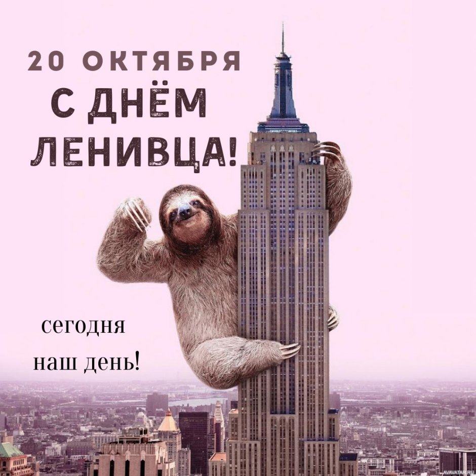Международный день ленивца открытки