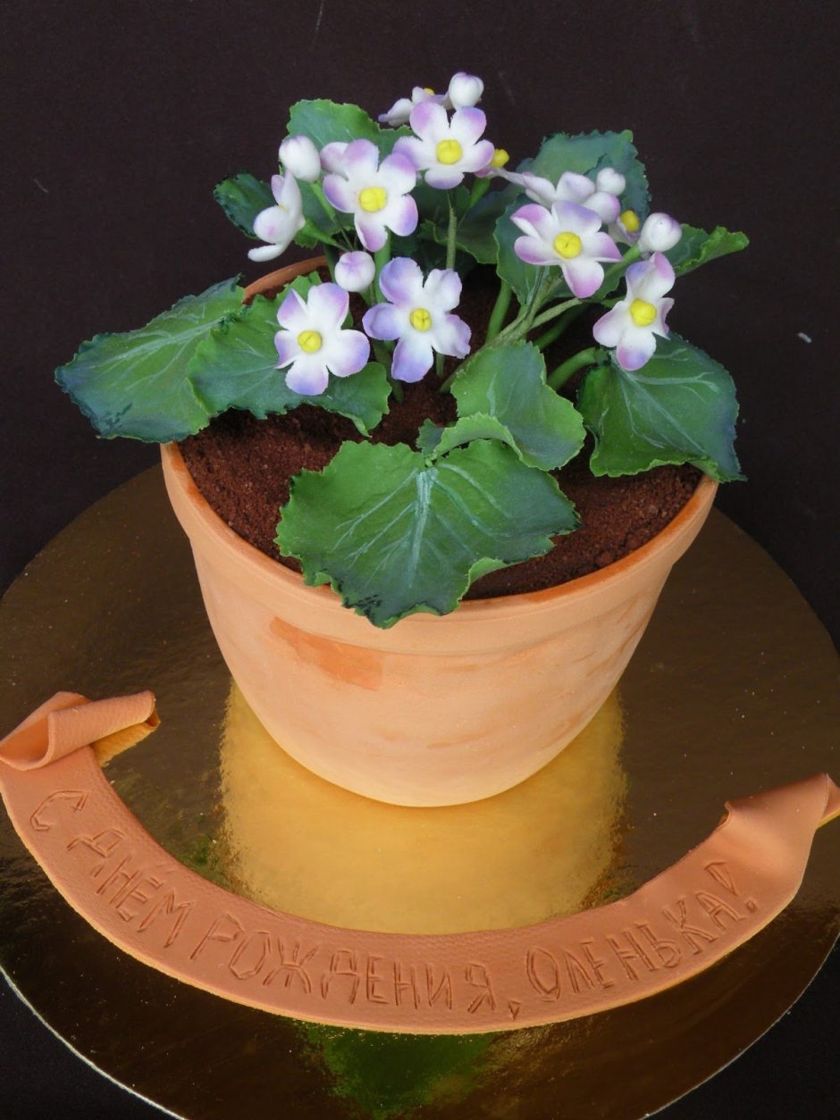 Тортик горшок с цветком