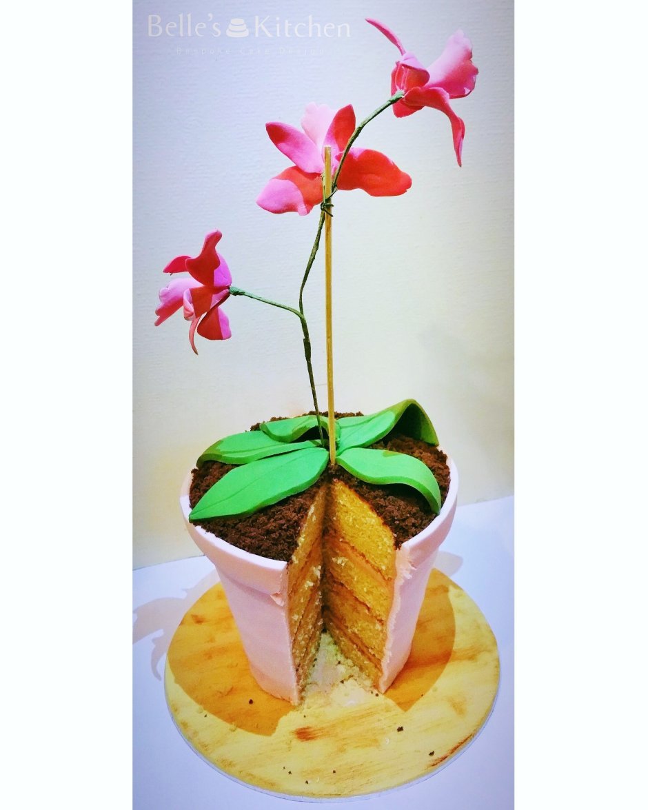 Торт цветок в горшке