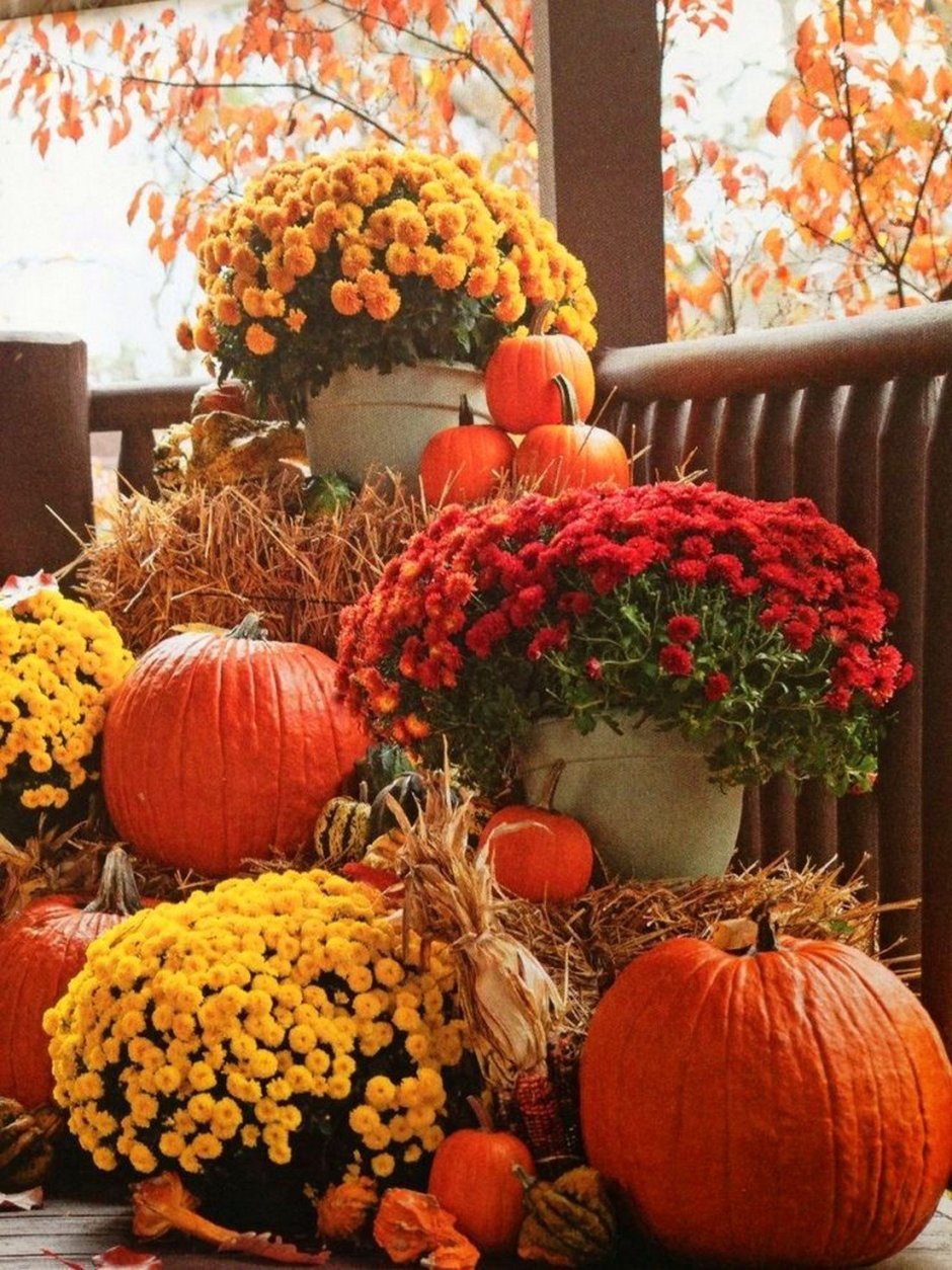 Осенние декорации в саду