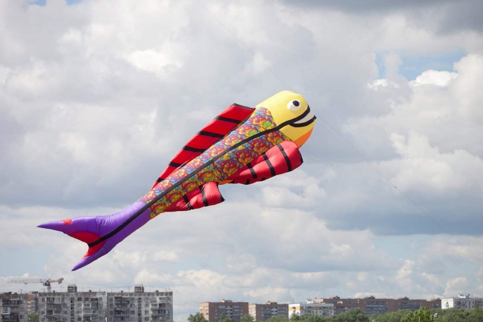 Фестиваль воздушных змеев «Фортолет»
