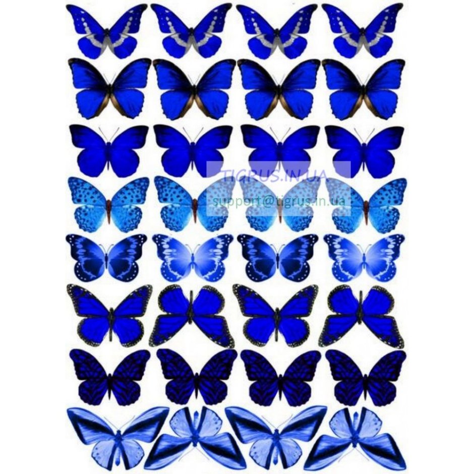 Бабочки для капкейков