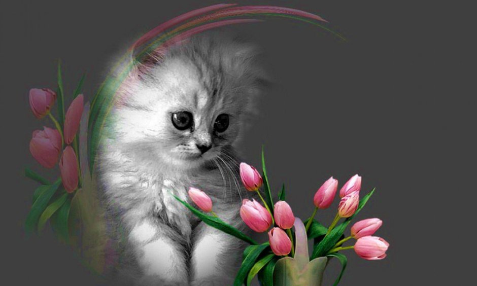 Котенок с цветами 8 марта