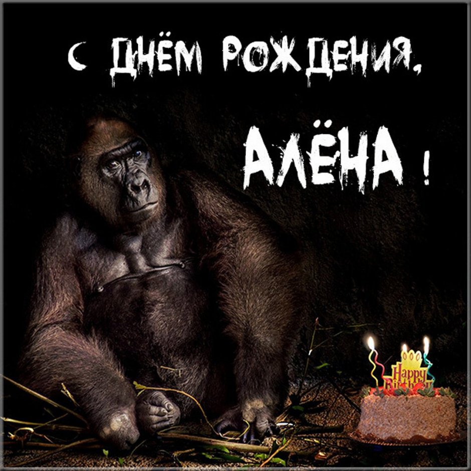 Поздравления с днём рождения Алексею