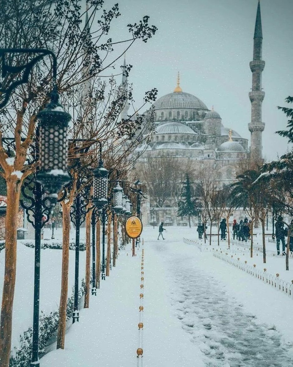 Новогодний Стамбул голубая мечеть