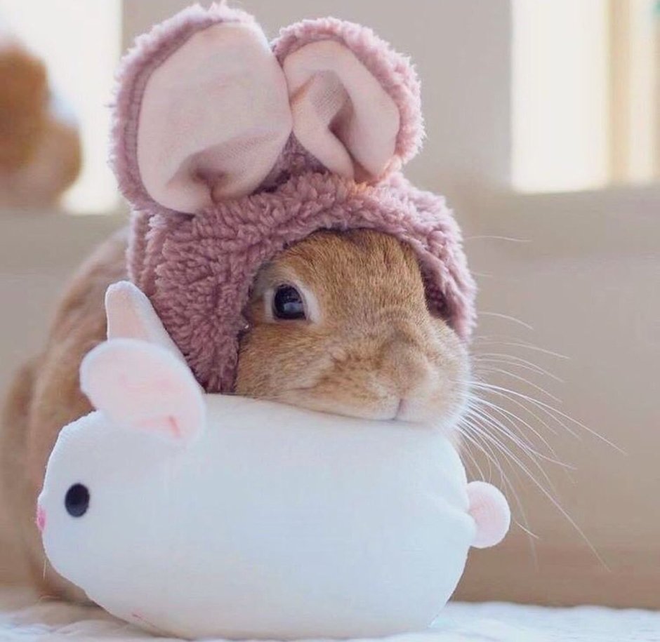Кролик заяц шьем