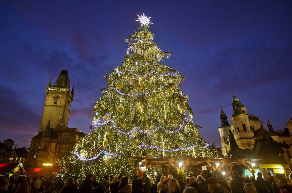 Центральная елка в Праге