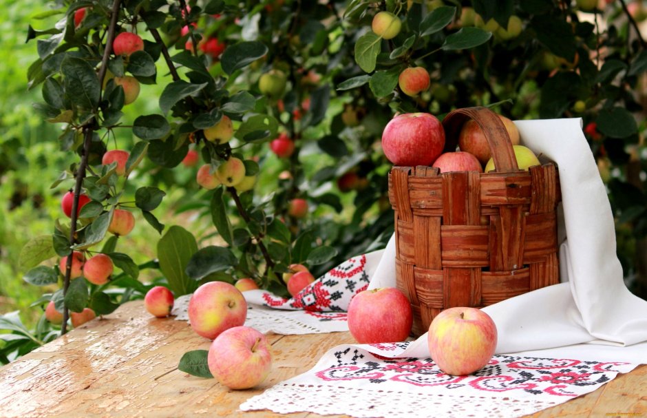 Стол с фруктами в саду