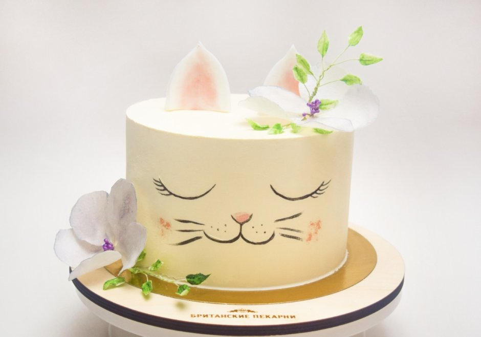Антигравитационный торт кот