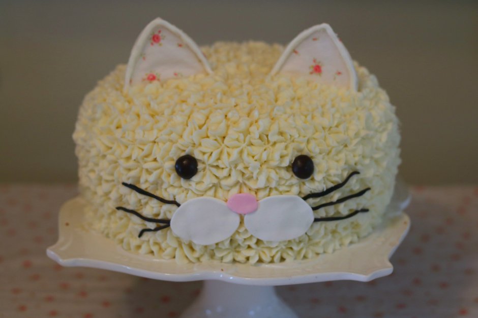 Тортик для котика