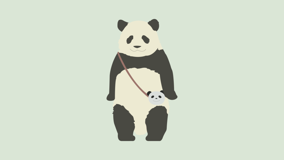 Панда на однотонном фоне