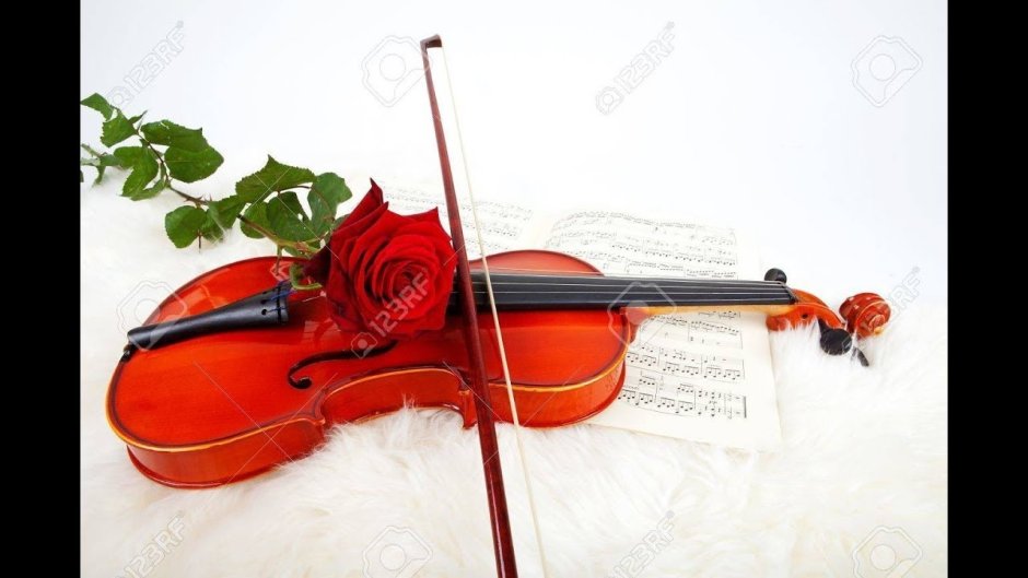 Скрипка розы Ноты