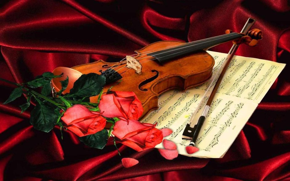 Красивые цветы и скрипка