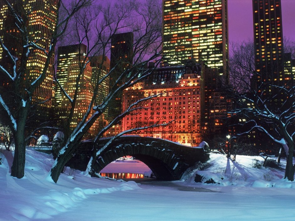 Централ парк Нью-Йорк зимой