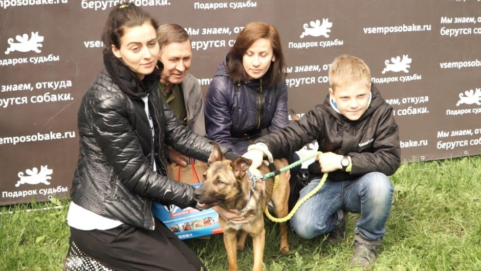 Московский парк для собак