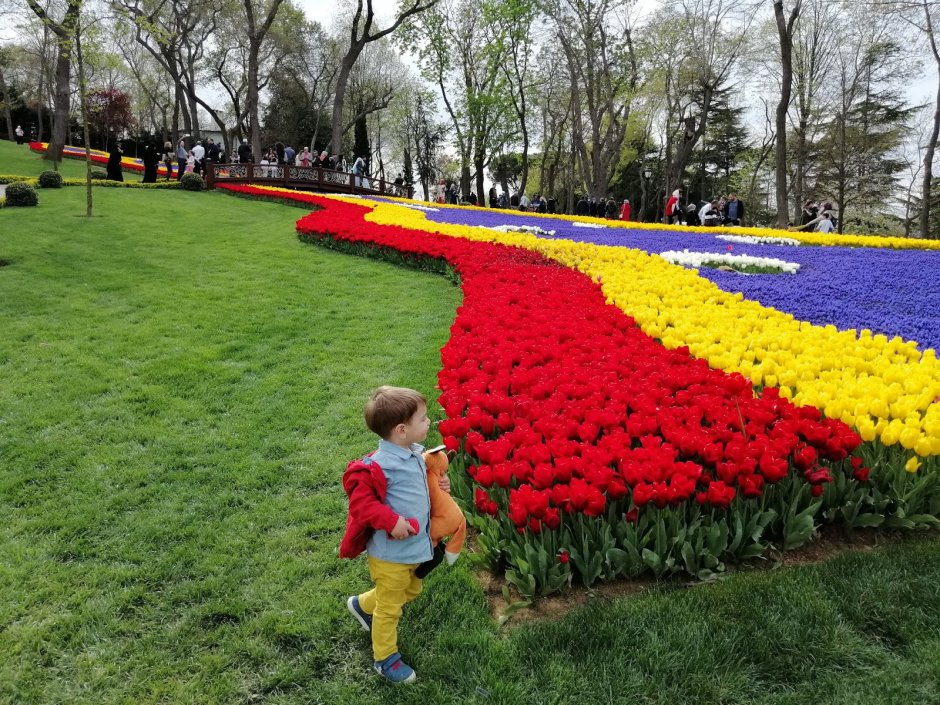 Праздник тюльпанов в Стамбуле