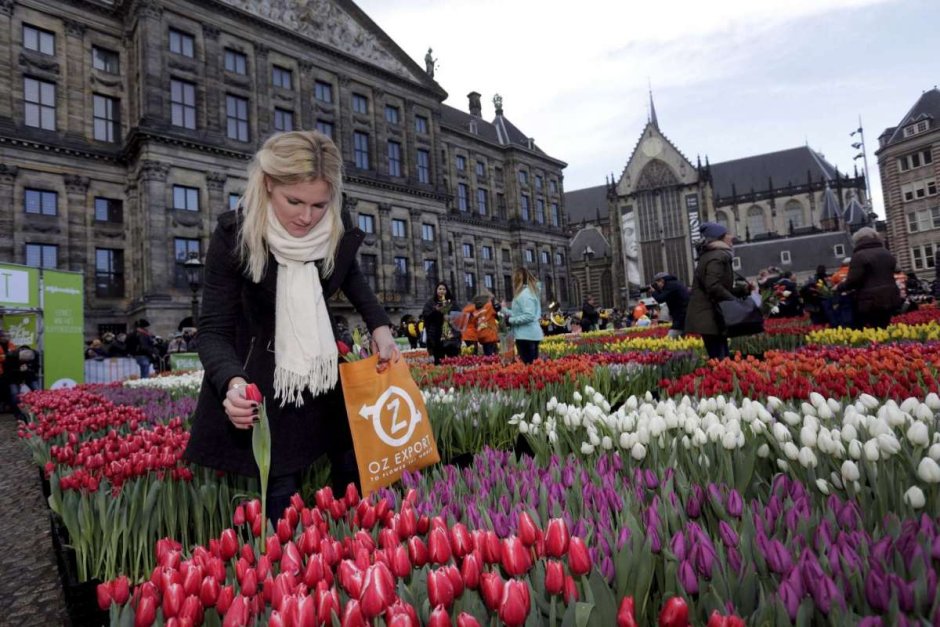 Амстердам тюльпаны фестиваль 2018