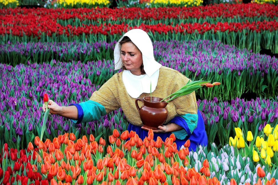 Нидерланды фестиваль тюльпанов
