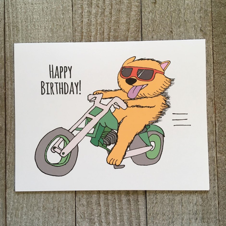 Кот на мотоцикле с днем рождения