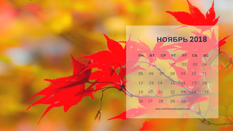 Календарь ноябрь на рабочий стол