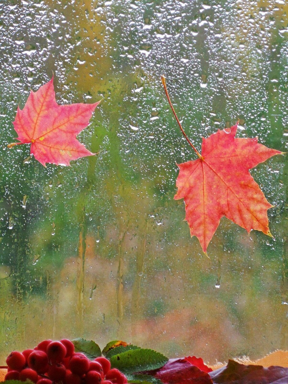 Дождь осенью