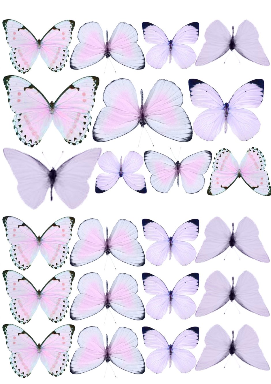 Бабочка шаблон для печати