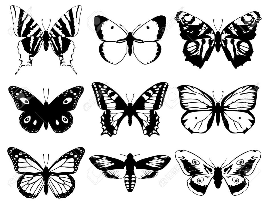 Ажурные бабочки