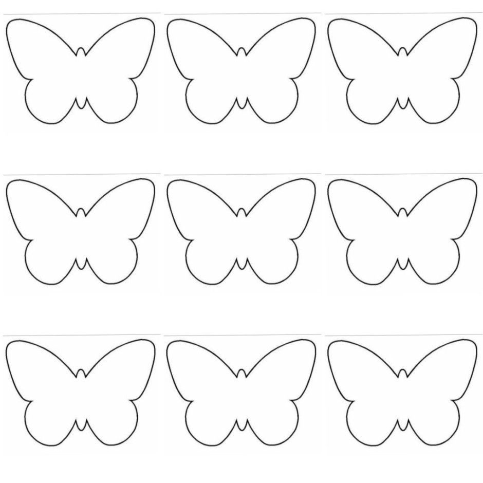 Трафарет бабочки на прозрачном фоне