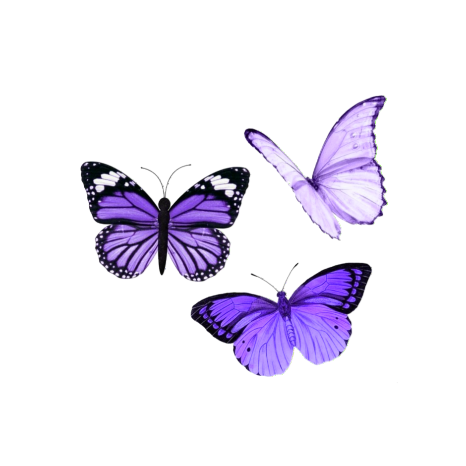 Butterfly шаблон Cameo
