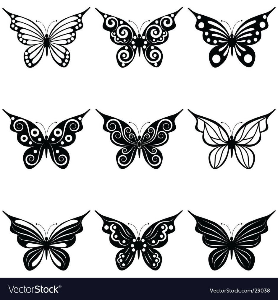 Бабочка черно белая фото