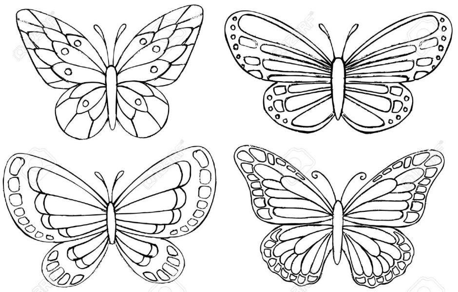 Бабочки для печати черные белые