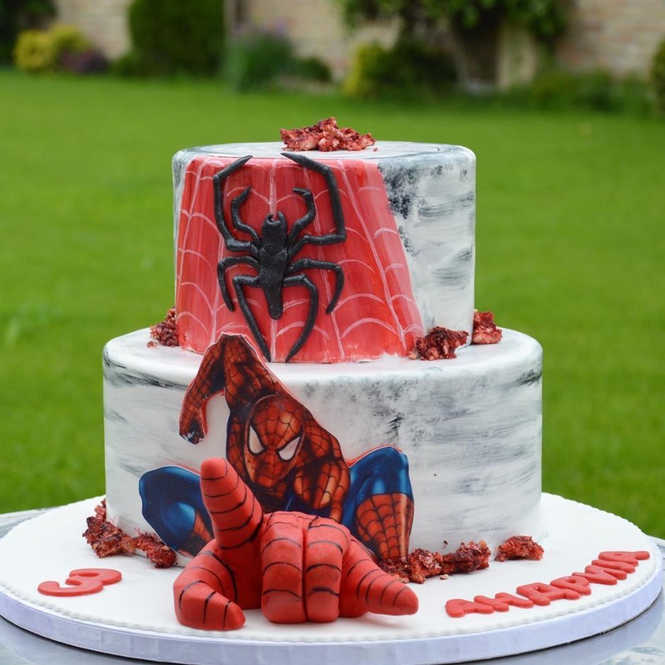 Торт человек паук и Веном