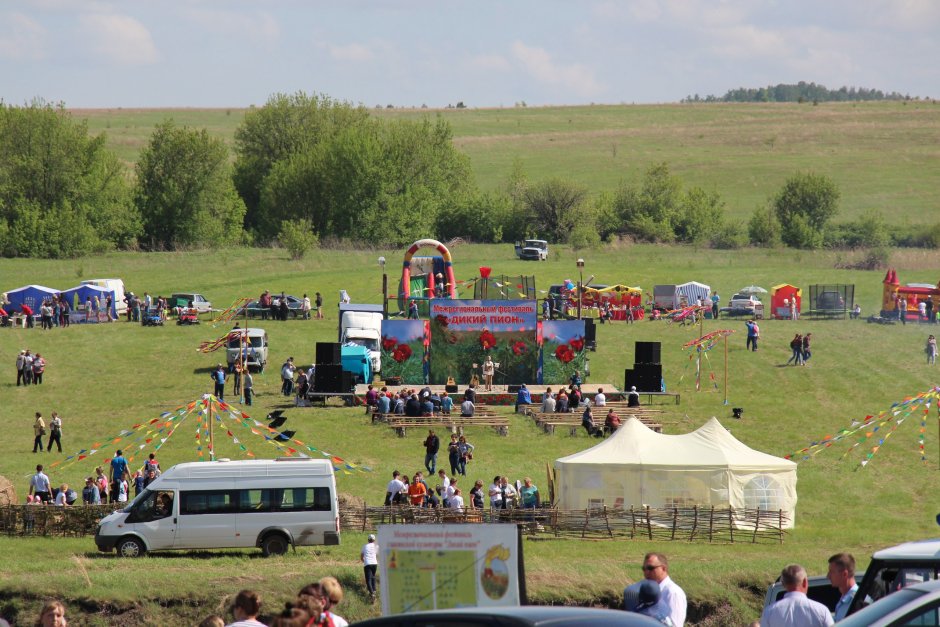 Фестиваль дикий пион в Ульяновской области