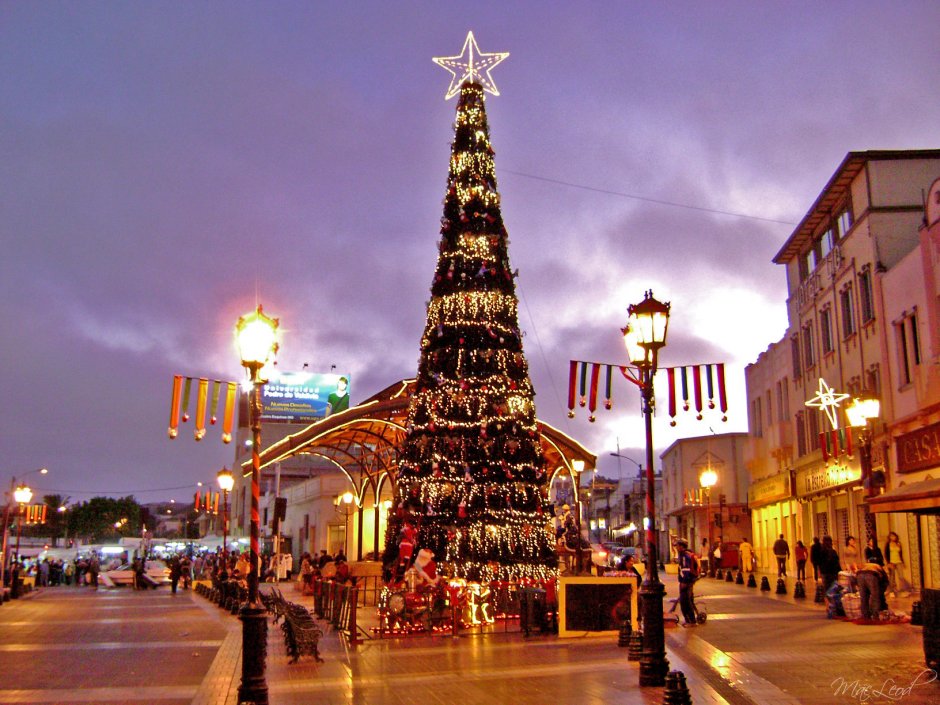 Рождественская елка в Испании