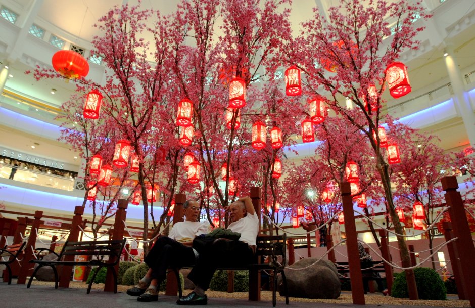 Китайское дерево света