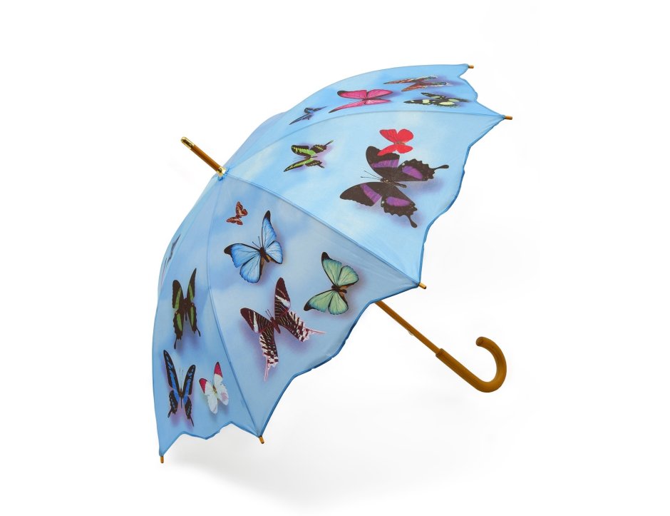 Цветы в зонтике