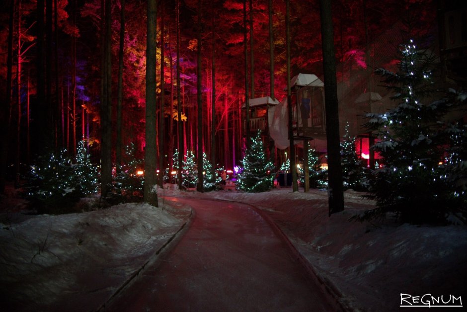 Сайма Сургут парк зимой
