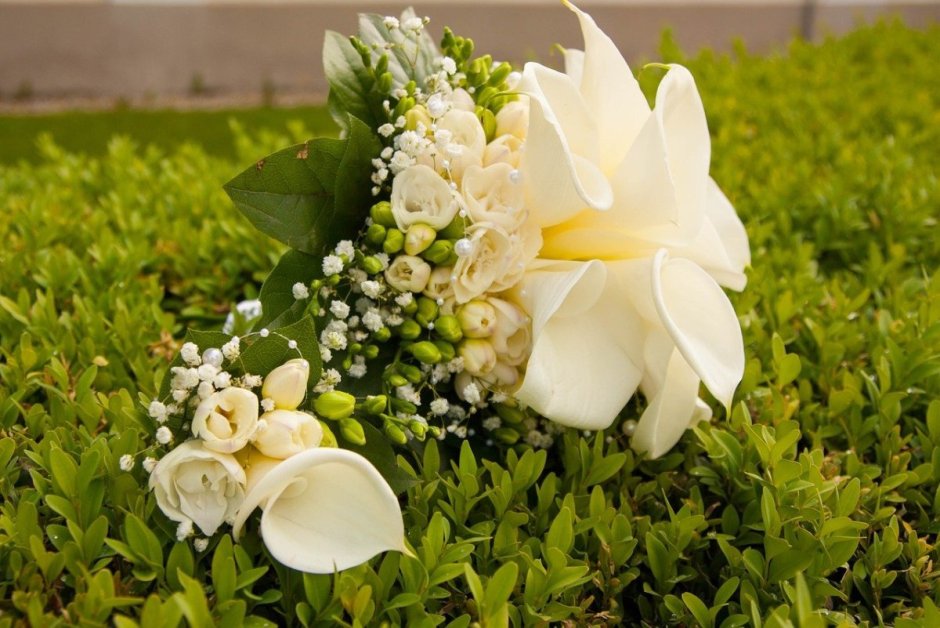 Хризантемы сталион букет невесты