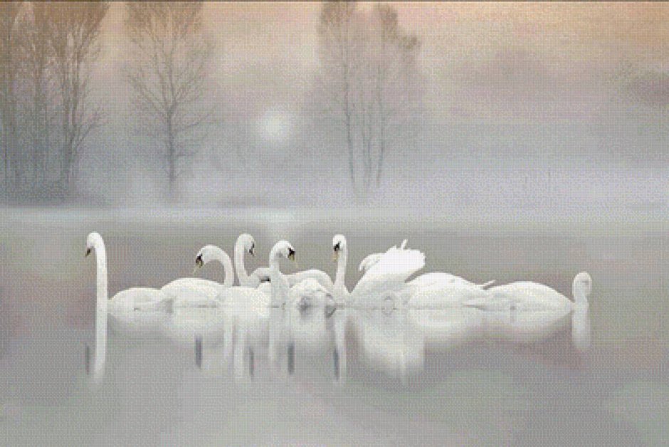 Зимний пейзаж с лебедями