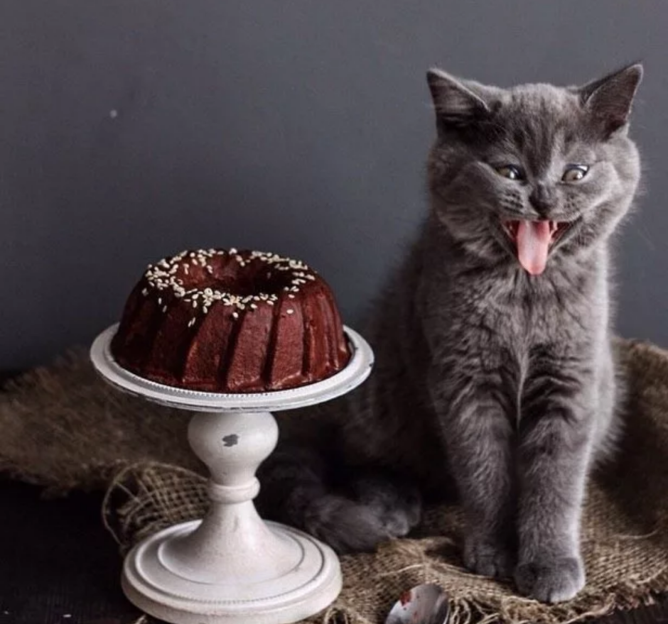Кот с тортом рисунок