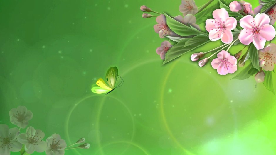 Весенние цветы на зеленом фоне