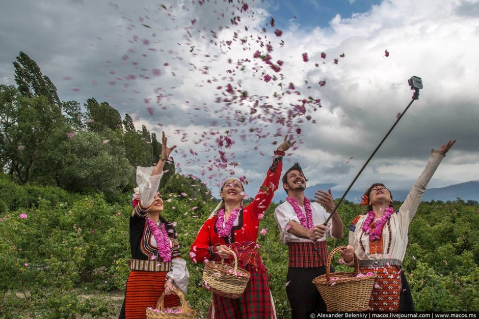 Долина роз Болгария фестиваль