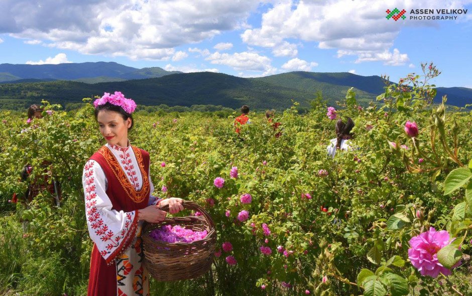Фото праздника роз в Болгарии 25 мая