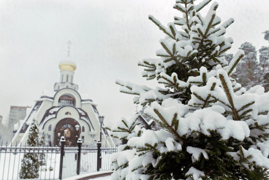 Сосновый Бор Ленинградская область зимой