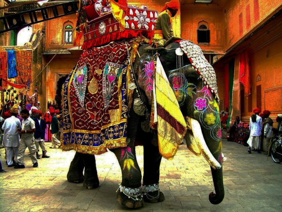 Украшение слонов в Индии
