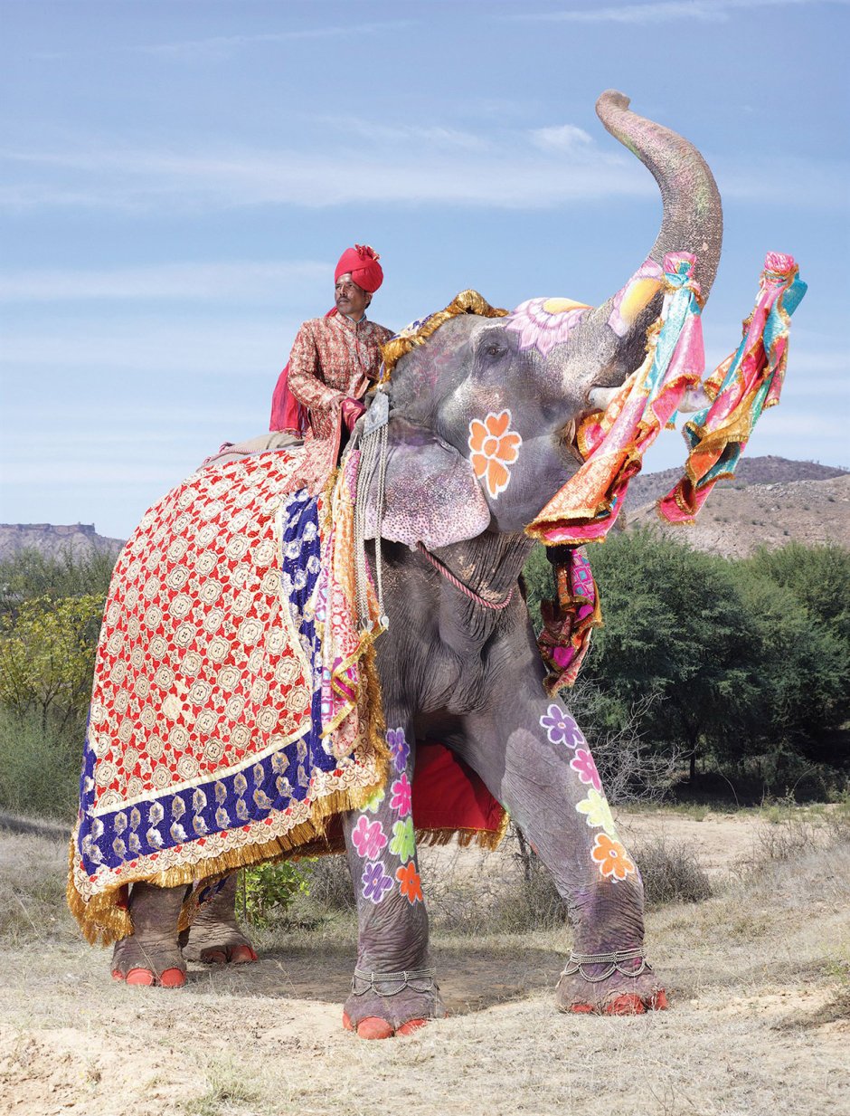 Разрисованный слон Индия